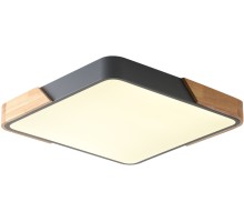 Потолочный светильник Alberro ZRS.01288.36 Zortes