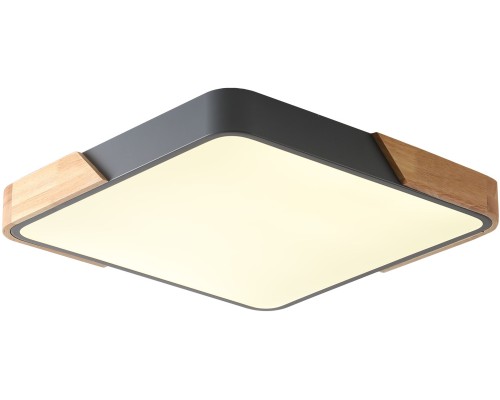 Потолочный светильник Alberro ZRS.01288.48 Zortes