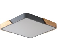 Потолочный светильник Alberro ZRS.01288.60 Zortes