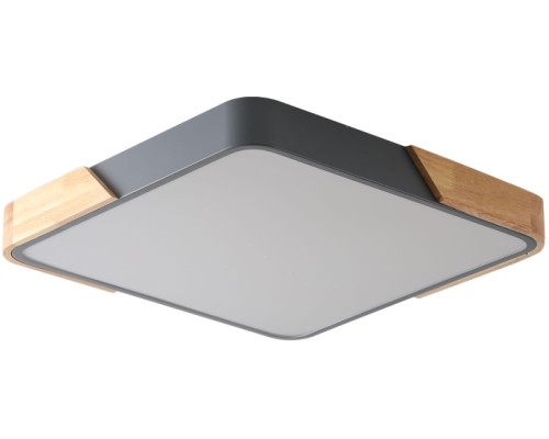 Потолочный светильник Alberro ZRS.01288.60 Zortes