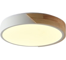 Потолочный светильник Alberro ZRS.01289.24 Zortes