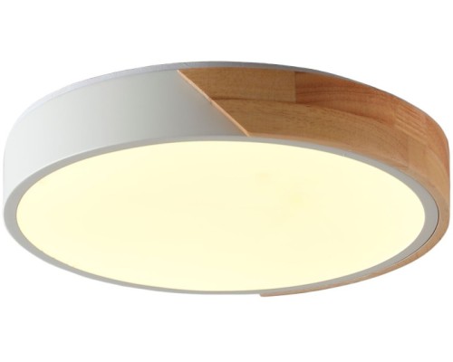 Потолочный светильник Alberro ZRS.01289.48 Zortes