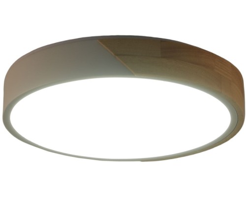 Потолочный светильник Alberro ZRS.01289.72 Zortes