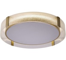 Потолочный светильник Gerda ZRS.1097.60 Zortes