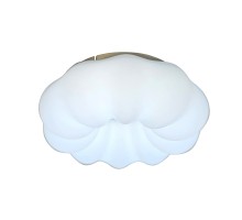 Потолочный светильник Soft ZRS.1118.2 Zortes