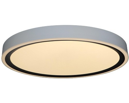 Потолочный светильник Bella ZRS.1201.07 Zortes