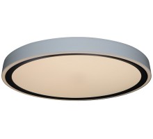 Потолочный светильник Bella ZRS.1201.11 Zortes