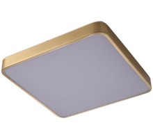 Потолочный светильник Monna ZRS.1209.03 Zortes