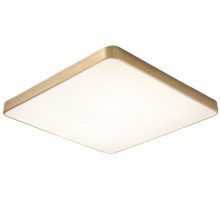 Потолочный светильник Monna ZRS.1209.07 Zortes