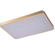 Потолочный светильник Monna ZRS.1209.09 Zortes