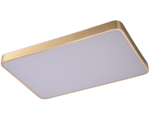 Потолочный светильник Monna ZRS.1209.09 Zortes