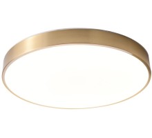 Потолочный светильник Monna ZRS.1209.12 Zortes