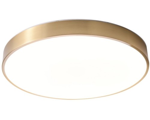 Потолочный светильник Monna ZRS.1209.12 Zortes