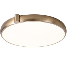 Потолочный светильник Gimpel ZRS.1209.18 Zortes