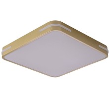 Потолочный светильник Gabby ZRS.1215.03 Zortes