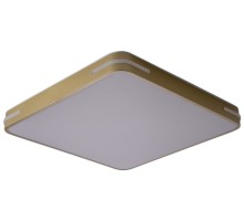 Потолочный светильник Gabby ZRS.1215.04 Zortes