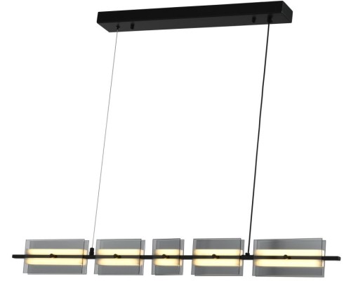 Подвесной светильник Loft ZRS.1802.100 Zortes