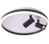 Потолочный светильник Raizy ZRS.1888.01 Zortes