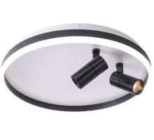 Потолочный светильник Raizy ZRS.1888.01 Zortes