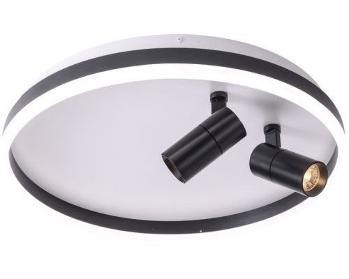 Потолочный светильник Raizy ZRS.1888.01 Zortes