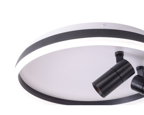 Потолочный светильник Raizy ZRS.1888.01 Zortes