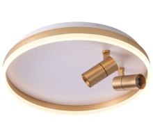 Потолочный светильник Raizy ZRS.1888.02 Zortes