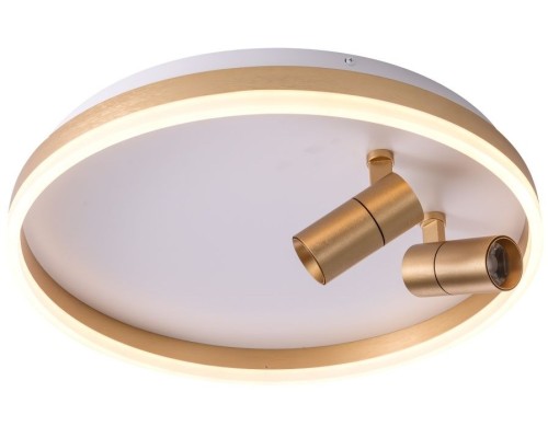 Потолочный светильник Raizy ZRS.1888.02 Zortes