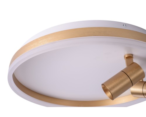 Потолочный светильник Raizy ZRS.1888.02 Zortes