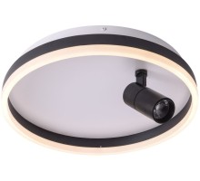 Потолочный светильник Raizy ZRS.1888.03 Zortes