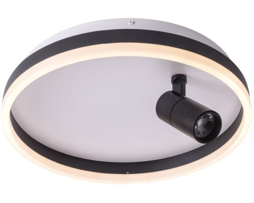 Потолочный светильник Raizy ZRS.1888.03 Zortes