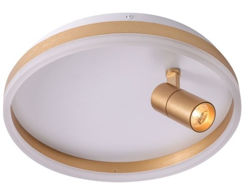 Потолочный светильник Raizy ZRS.1888.04 Zortes