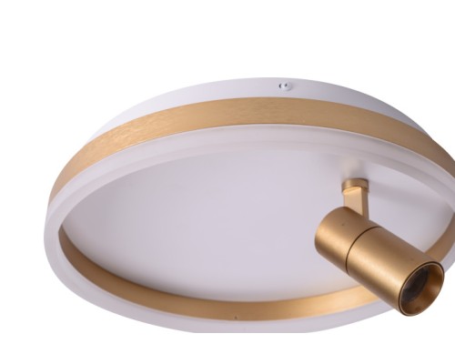 Потолочный светильник Raizy ZRS.1888.04 Zortes