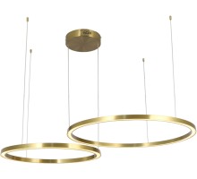 Подвесной светильник Lucia ZRS.25291.88 Zortes