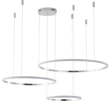 Подвесной светильник Ringolight ZRS.33321.120F Zortes