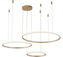 Подвесной светильник Ringolight ZRS.33325.75F Zortes