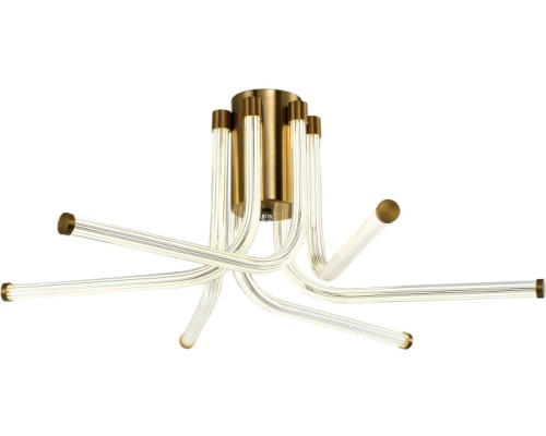 Потолочная люстра Lora ZRS.57784.06 Zortes