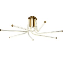 Потолочная люстра Lora ZRS.57784.07 Zortes