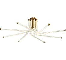 Потолочная люстра Lora ZRS.57784.08 Zortes