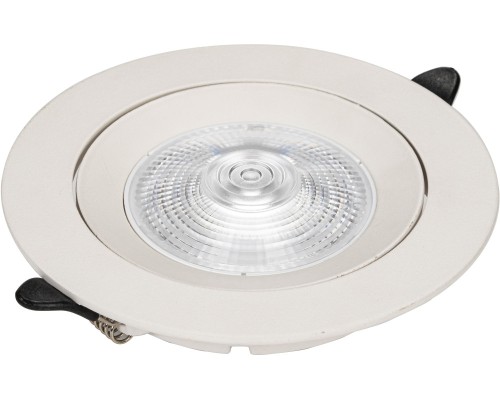 Точечный светильник Raiz ZRS.57795.10 Zortes