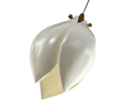 Подвесной светильник Dalin ZRS.90609.01 Zortes