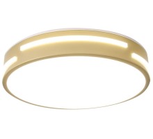 Потолочный светильник Gabby ZRS.90610.30 Zortes