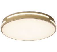 Потолочный светильник Gabby ZRS.90610.40 Zortes