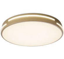 Потолочный светильник Gabby ZRS.90610.40 Zortes