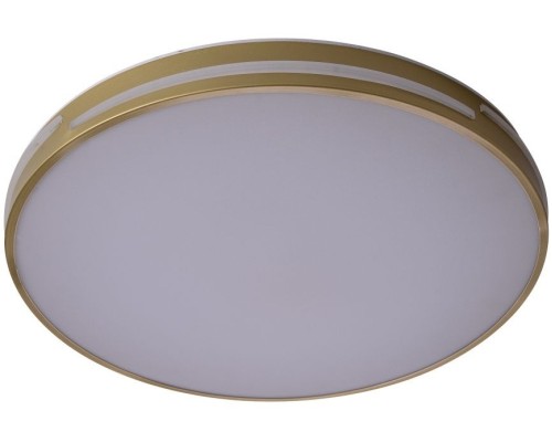 Потолочный светильник Gabby ZRS.90610.50 Zortes