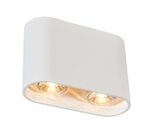 Точечный светильник Ronduo Sl ACGU10-062 Zumaline