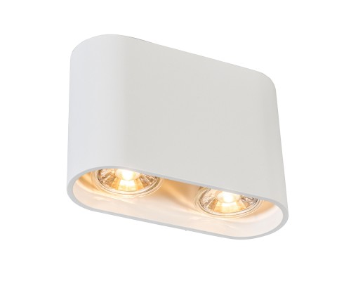 Точечный светильник Ronduo Sl ACGU10-062 Zumaline