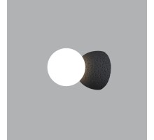 Настенный светильник Foxtrot 10695W/1-D100 BK-WH iLamp