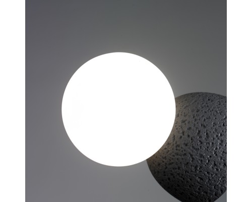 Настенный светильник Foxtrot 10695W/1-D100 BK-WH iLamp