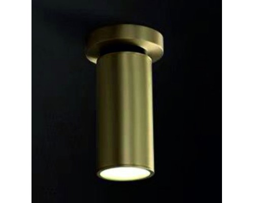 Спот Plum 8861C BR-BK iLamp