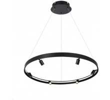 Подвесной светильник Vision 2060-D1000 BK iLedex